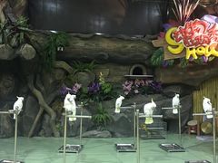 -萌宠奇缘