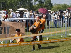 -春花秋色城市公园