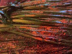 -肉串汪(望京店)