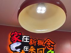 -新概念来凤鱼(璧山店)