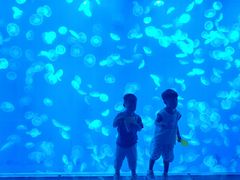 -江和美海洋公园