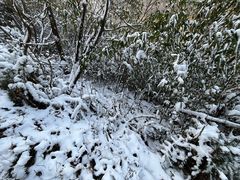 -肯德基(杭州浦沿店)