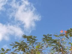 -海南热带海洋学院(三亚校区)
