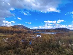 -五营红松林海景区