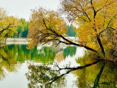 -宫事颐庭·老佛爷贵寿下午茶(颐和园店)