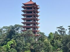 -缙云山景区