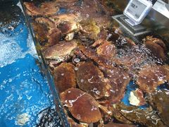 -盒马鲜生(189购物中心店)