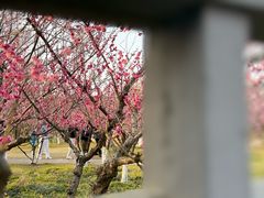 -滨江公园-停车场