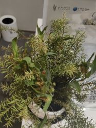 -美壹生皮肤管理中心