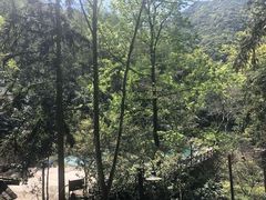 -宁海森林温泉