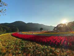 -广州市石门国家森林公园