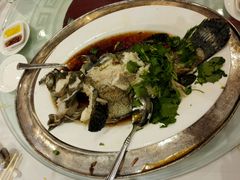 -港澳德兴火锅海鲜酒家(殷皇子店)