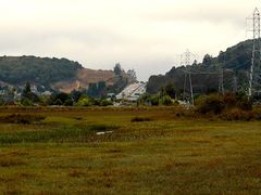 -维乐口腔医院(星海湾分院)