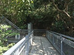 -佛山华盖山公园