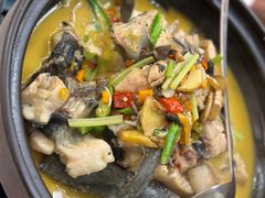 -饭怕鱼·黄焖鲟龙鱼(湖大店)