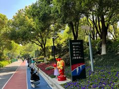 -桐乡植物园