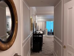 -澳门威尼斯人综合度假区