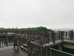 -新木器时代餐厅(太湖新天地店)