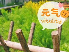 -前小桔亲子创意农场·草莓采摘·露营烧烤