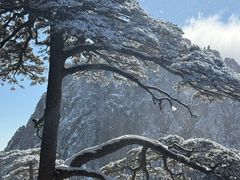 -黄山玉屏楼宾馆餐厅