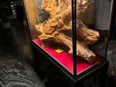 -索拉古贝(义乌北苑店)