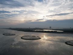 -南汇嘴观海公园