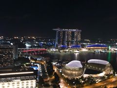 -新加坡瑞士史丹福酒店