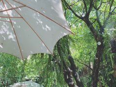 -Fern Forest Cafe