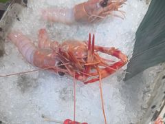 -一本料理(西溪天街店)