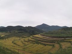 -大姆山草场