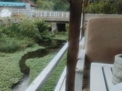 -Local泰莲庭(虹鳟鱼店)