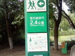 -荷塘月色湿地公园·向阳花洲