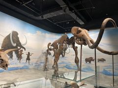 -辽宁古生物博物馆