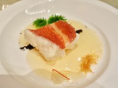 东星斑清蒸-8餐厅(新葡京酒店)