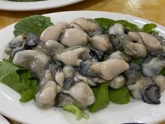 -金砂阿洲鱼册店