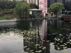 景点-苏州河梦清园环保主题公园