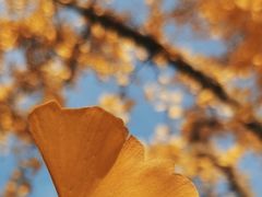 -四川北路(地铁站)