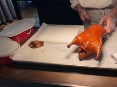 -秀儿四九城·新京菜(亚运村鸟巢店)