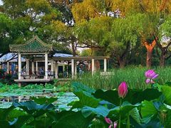 -北陵公园