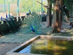 -南京金牛湖风景区