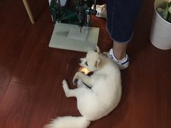 -零几体验diy皮具工作室(振业城店)