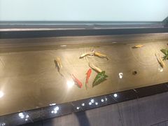 -邵汇大虾火锅(鲁迅路店)