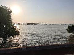 -宝安西湾红树林湿地公园