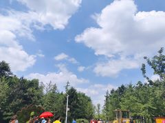 -长白岛森林公园