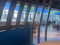 -茶百道(盛京大奥莱店)