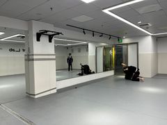 -EFL巴西柔术·综合格斗·泰拳·少儿体能训练(虹桥德必馆)