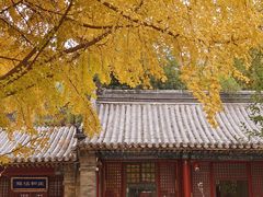 -潭柘寺景区