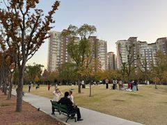 -新江湾城公园