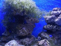 -多彩贵州城极地海洋世界