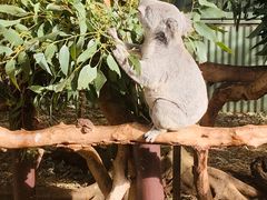 -费瑟代尔野生动物园